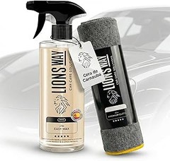 Ceras y selladores para coches con coating
