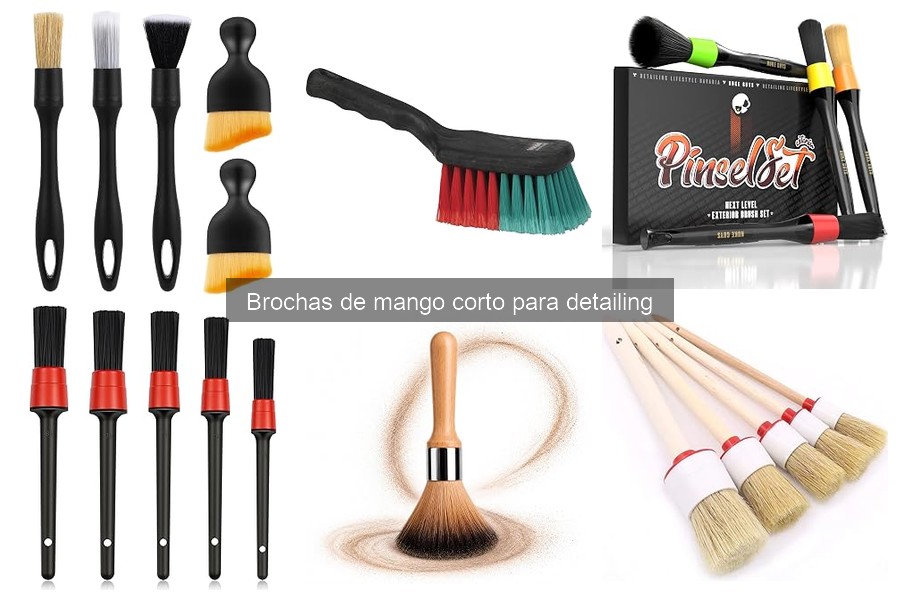 Brochas de Mango Corto para Detailing: ¿Qué Son y Usos?