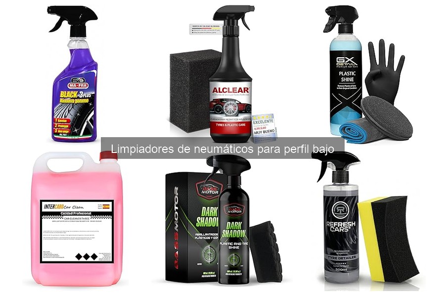 Comparativa de Limpiadores de Neumáticos para Perfil Bajo
