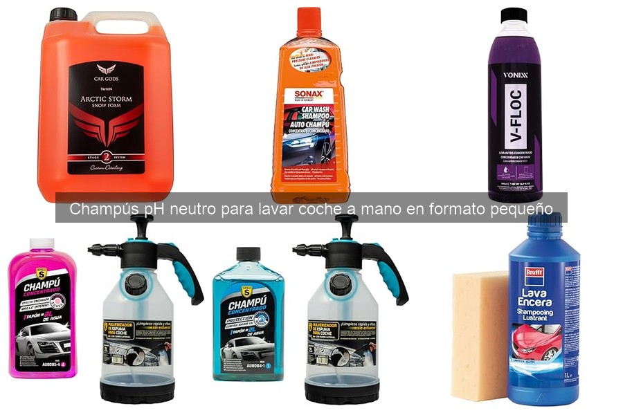 Mejores champús pH neutro para coche en 2023